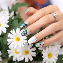 Load image into Gallery viewer, Daisy's and Butterflies
